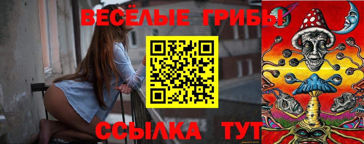 Галлюциногенные грибы Psilocybe  Вход с VPN  Изобильный 