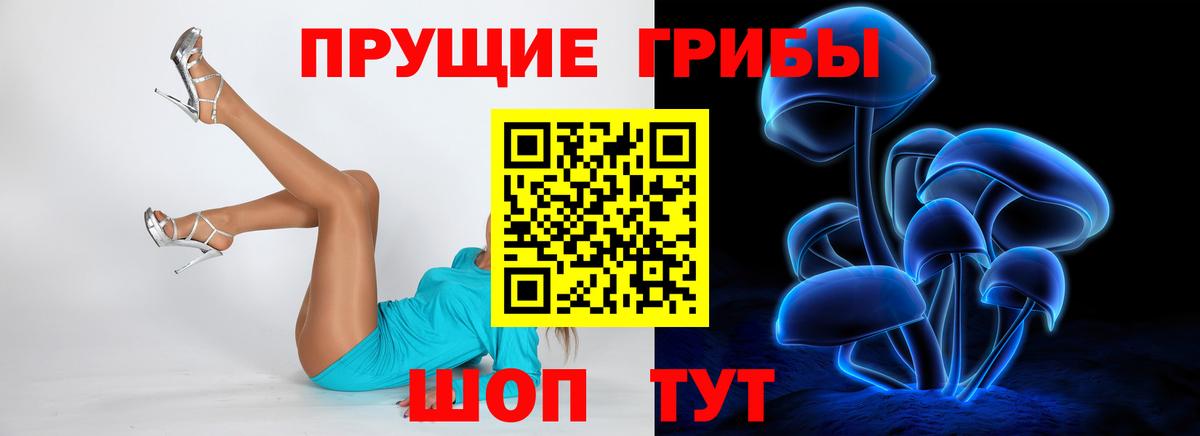 Галлюциногенные грибы Psilocybe Изобильный